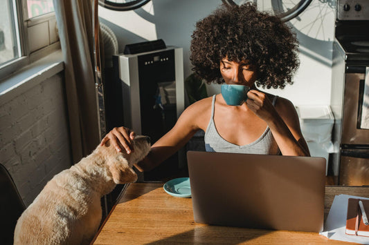 Cómo preparar la taza de café perfecta en casa