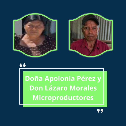 Café de especialidad Apolonia y Lázaro | Microproductores