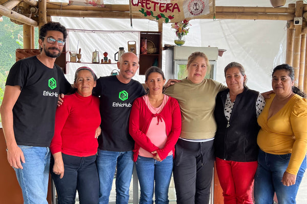 Specialty Coffee with a Taste of Peace: Peace Project in Colombia