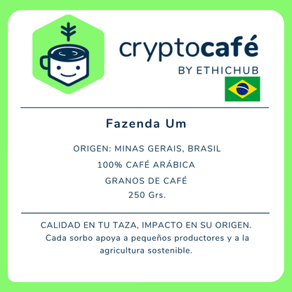 Café de especialidad - Mundo Novo / Fazenda Um (Brasil)