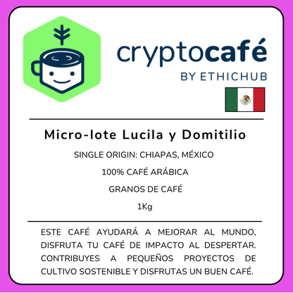 Lucila and Domitio Microproducers